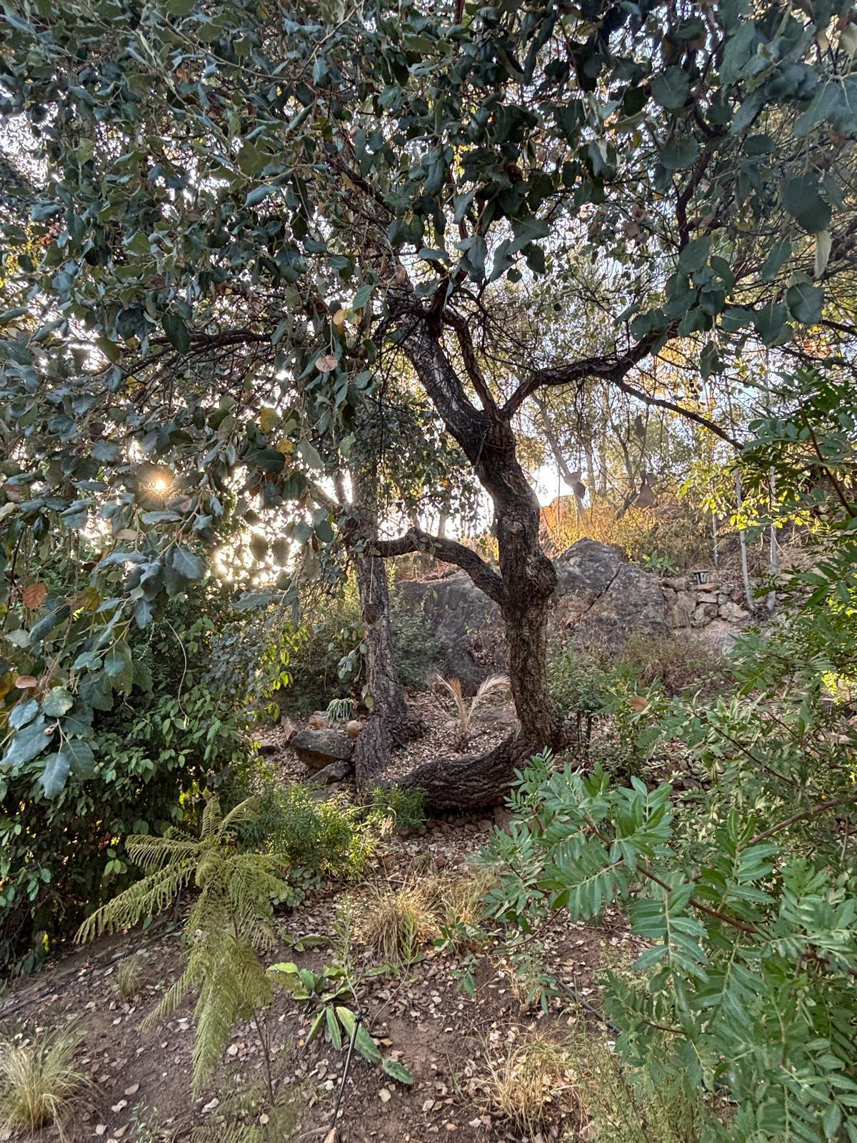 B98Le8~d7M9k3DegpEFZhS0lI_F8U4XZVz~HWxt~mGgYekxX9nCAxh0ZipZlAjNxEM6s1ur~IyRoHk21zVXx39XWT2D9Fp85DjEhd0Wkw~KufjjHwMWpId7O0C1N3yTR2X041Lcm26s0rntm~9PE