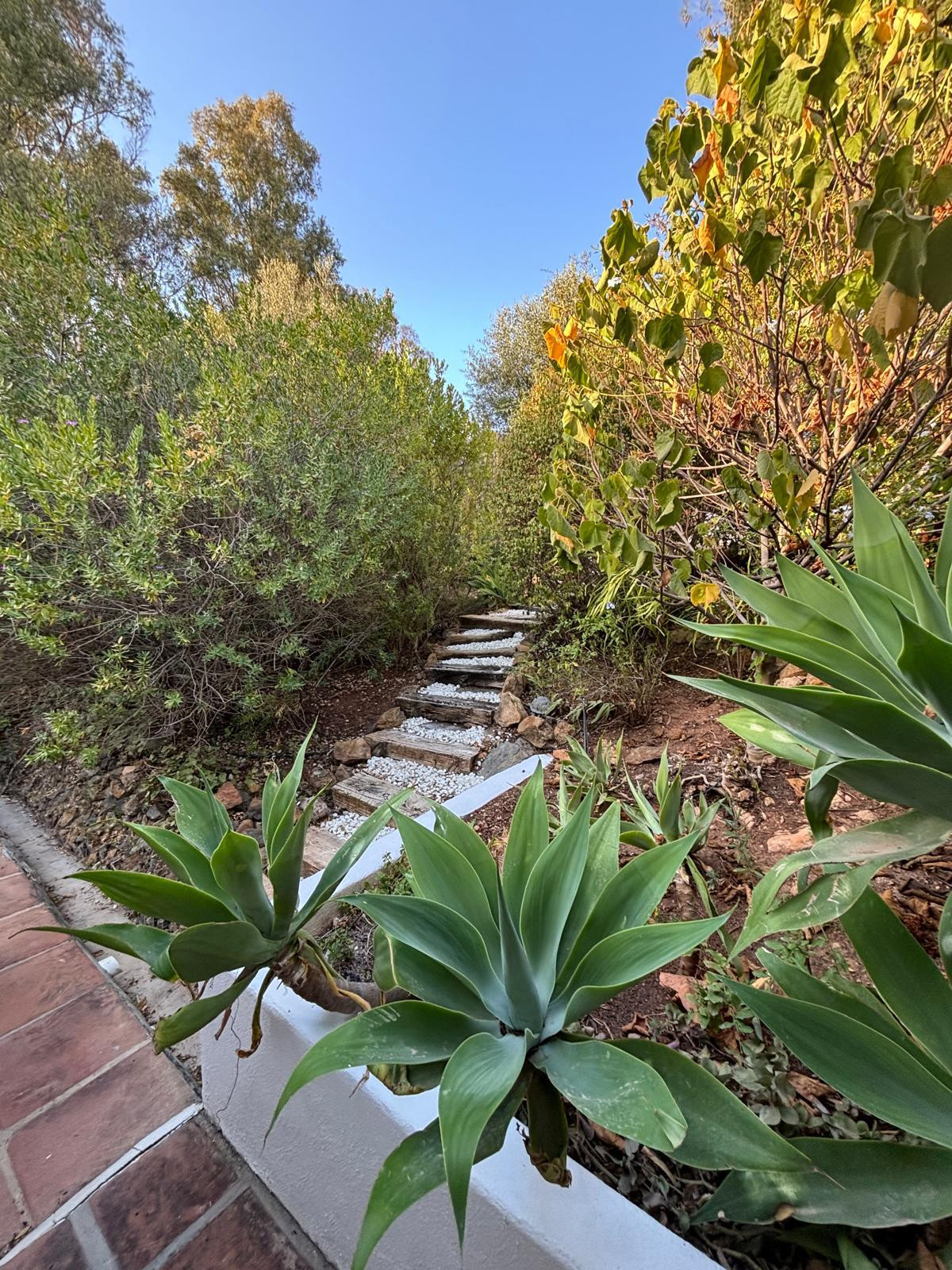 B98Le8~d7M9k3DegpEFZhS0lI_F8U4XZVz~HWxt~mGgYekxX9nCAxh0ZipZlAjNxEM6s1ur~IyRoHk21zVXx39XWT2D9Fp86JOnc6umcFWVHiHwLrdWmqv2Y0VnKSVLXvz6n7I4xknlrlZoBT1Ev