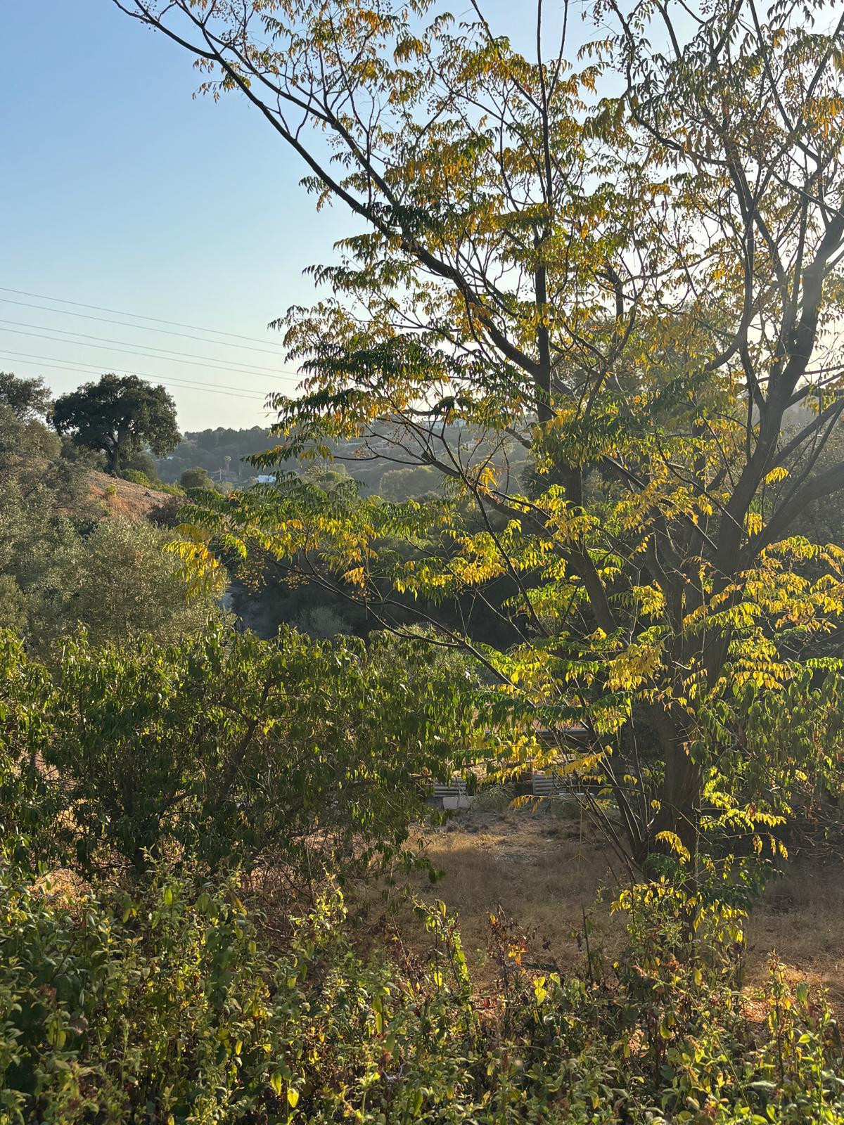 B98Le8~d7M9k3DegpEFZhS0lI_F8U4XZVz~HWxt~mGgYekxX9nCAxh0ZipZlAjNxEM6s1ur~IyRoHk21zVXx39XWT2D9Fp9oioLi2wmv0qnhQpQOnZqYYFp3zQR6zt7BNNk1i89UA6Wu88aJfE9A