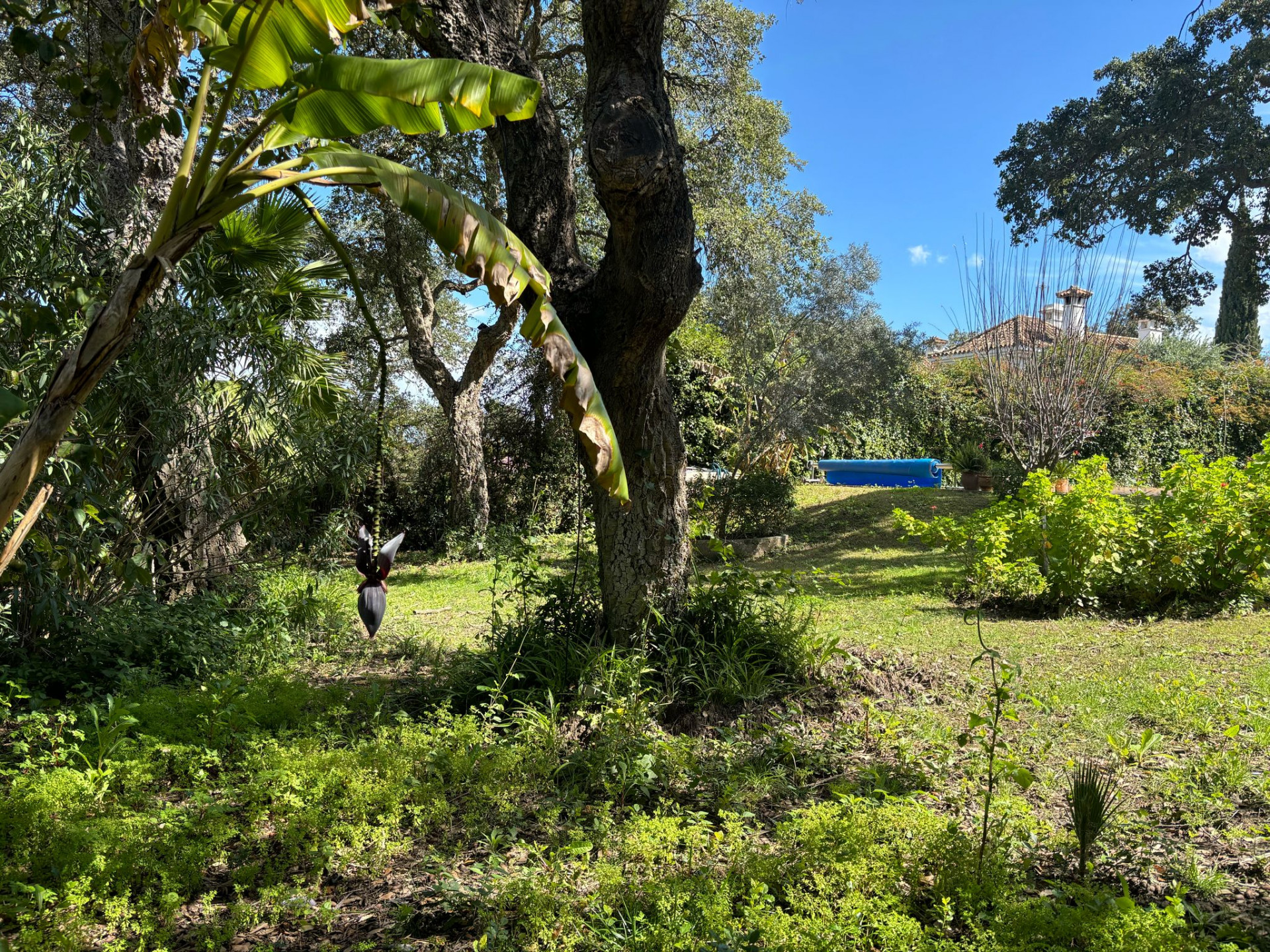 B98Le8~d7M9k3DegpEFZhS0lI_F8U4XZVz~HWxt~mGgYekxX9nCAxh0ZipZlAjNxEM6s1ur~IyRoHk21zVXx39XWTj0JB2Qh11q5AYcktB0t7uRiUMT_WcpIx2ov0jceiIDkT7351GqpEkQnK_Af