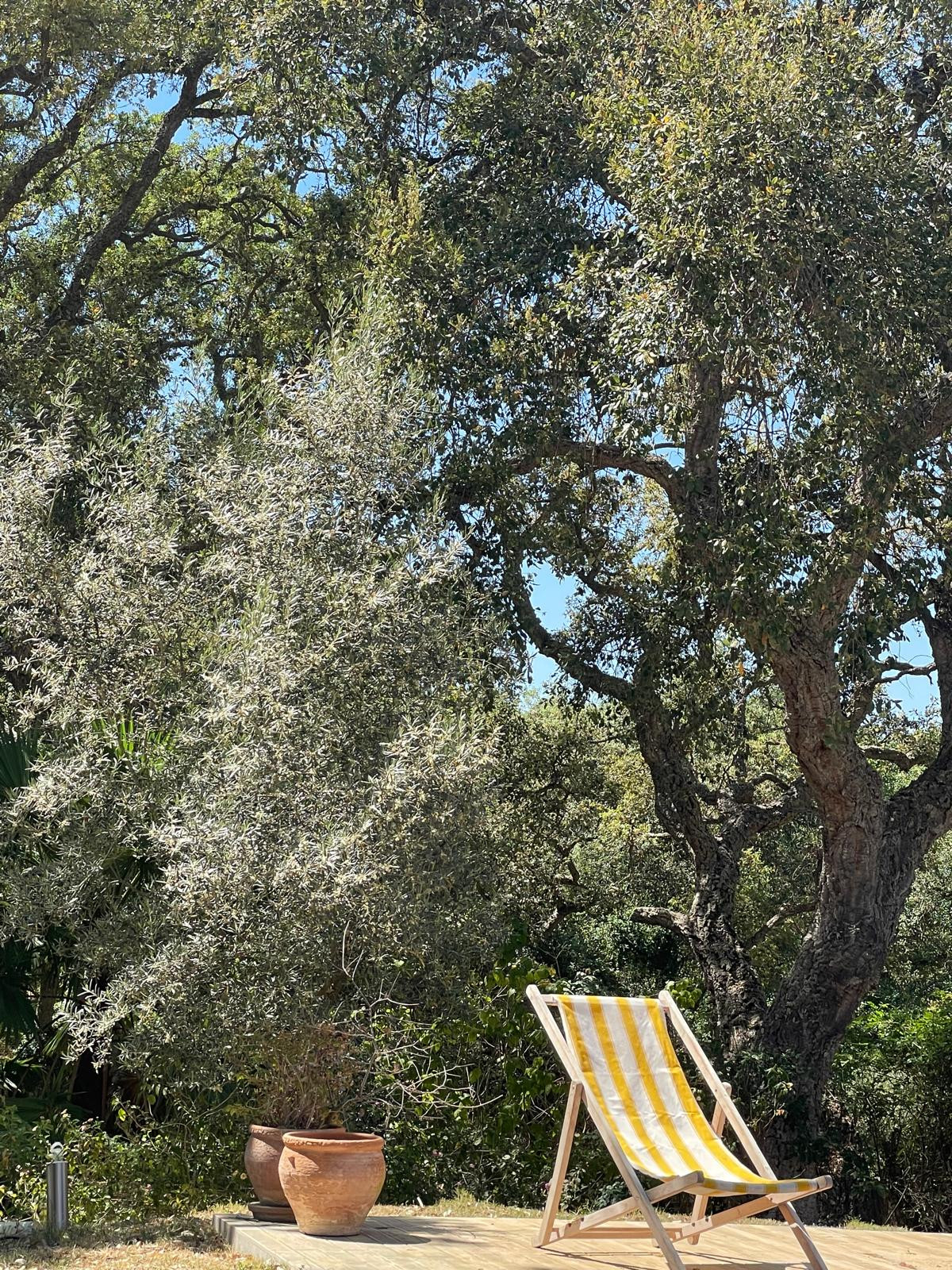 B98Le8~d7M9k3DegpEFZhS0lI_F8U4XZVz~HWxt~mGgYekxX9nCAxh0ZipZlAjNxEM6s1ur~IyRoHk21zVXx39XWTj0JB2Qnvk3y~Q4n6u5MQ5K_KyUorcjJ8NGLPTULc7IF~Q86Fd1Ky1erQECJ