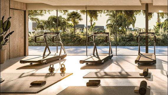 1984 Solaia-19 image