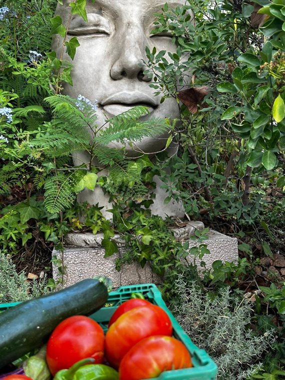 B98Le8~d7M9k3DegpEFZhS0lI_F8U4XZVz~HWxt~mGgYekxX9nCAxh0ZipZlAjNxEM6s1ur~IyRoHk21zVXx39XWT2D9Fp8~6yp38UDt16IaqJO_QhYksR5crwpje_lRkoRCf67~ggd4WYvKpnQJ image