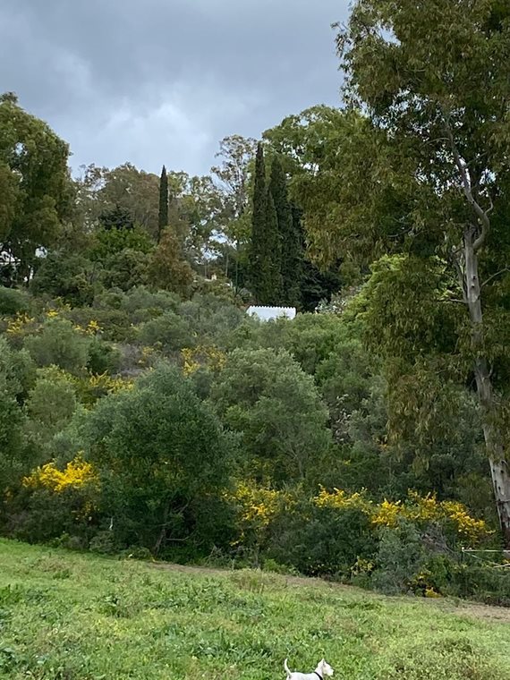 B98Le8~d7M9k3DegpEFZhS0lI_F8U4XZVz~HWxt~mGgYekxX9nCAxh0ZipZlAjNxEM6s1ur~IyRoHk21zVXx39XWT2D9Fp8z37av4s2T6KdWvtCa5wKQpGhlIWsmkjcwQpifKVALpVUviNJVSy9S image