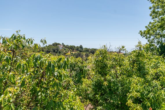 B98Le8~d7M9k3DegpEFZhS0lI_F8U4XZVz~HWxt~mGgYekxX9nCAxh0ZipZlAjNxEM6s1ur~IyRoHk21zVXx39XWT2SphP0D~BCAMdNbyvJzqCyM1YgOVQKq9Pv5B4Fd1jAa70UAKjRocBQ2LlVA image