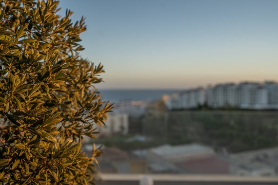 B98Le8~d7M9k3DegpEFZhS0lI_F8U4XZVz~HWxt~mGgYekxX9nCAxh0ZipZlAjNxEM6s1ur~IyRoHk21zVXx39XWT2c~BUnXsNvQtr29ra_j0KmaY4mQbqSWgsV9PfeiNYxAT5lbzUC8DyzAdWMd image