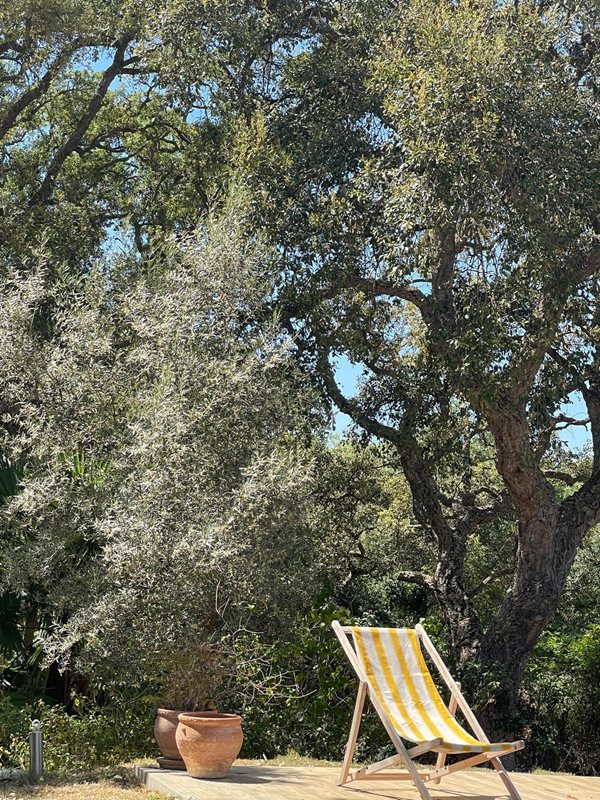 B98Le8~d7M9k3DegpEFZhS0lI_F8U4XZVz~HWxt~mGgYekxX9nCAxh0ZipZlAjNxEM6s1ur~IyRoHk21zVXx39XWTj0JB2Qnvk3y~Q4n6u5MQ5K_KyUorcjJ8NGLPTULc7IF~Q86Fd1Ky1erQECJ