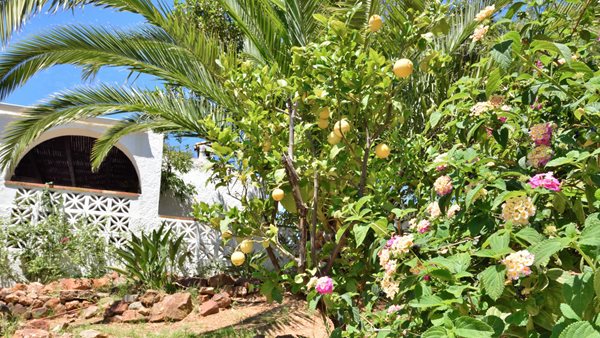 Immobilien_Mijas_0927-48